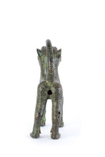 Load image into Gallery viewer, Tame wild cat